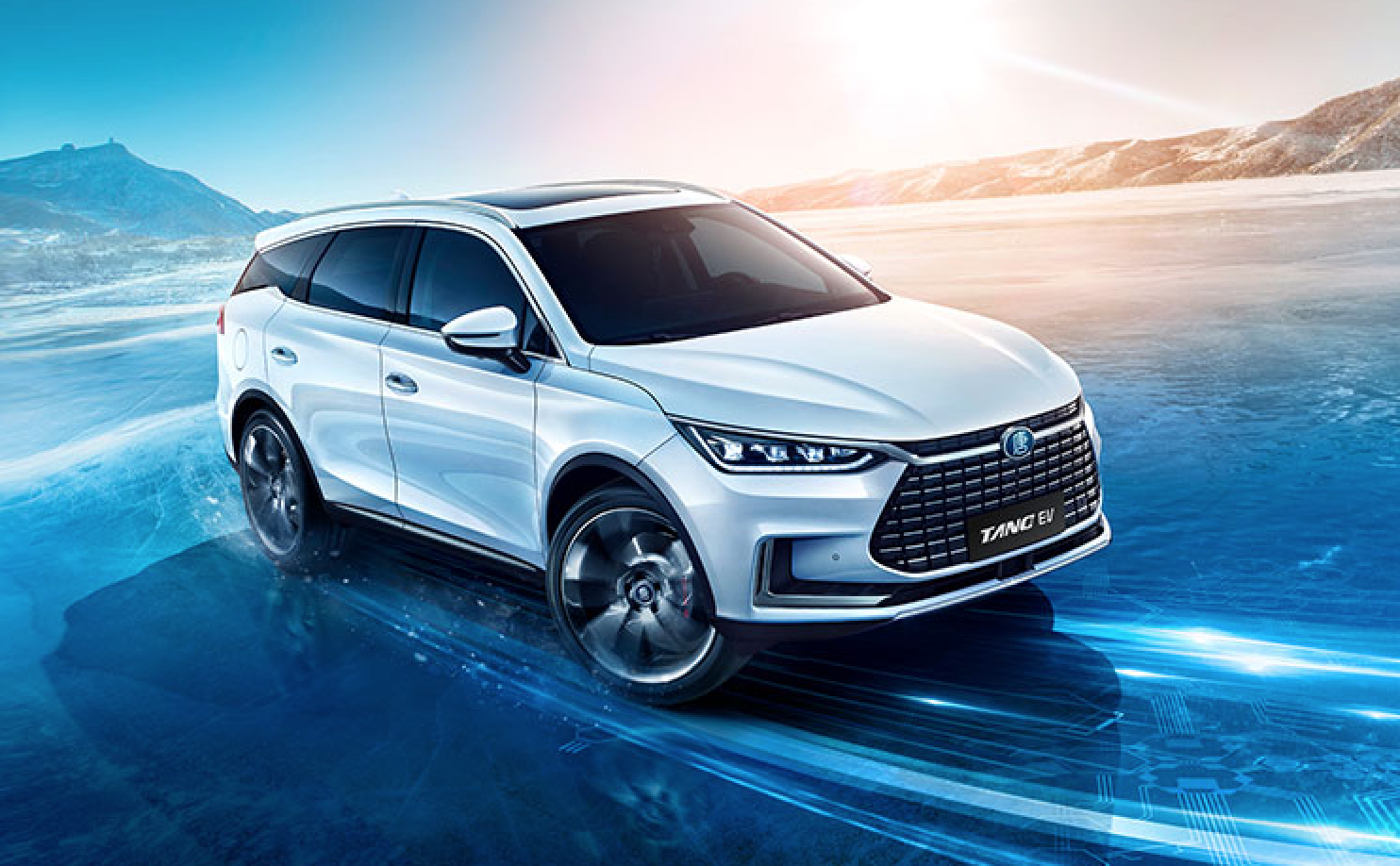 BYD selling 