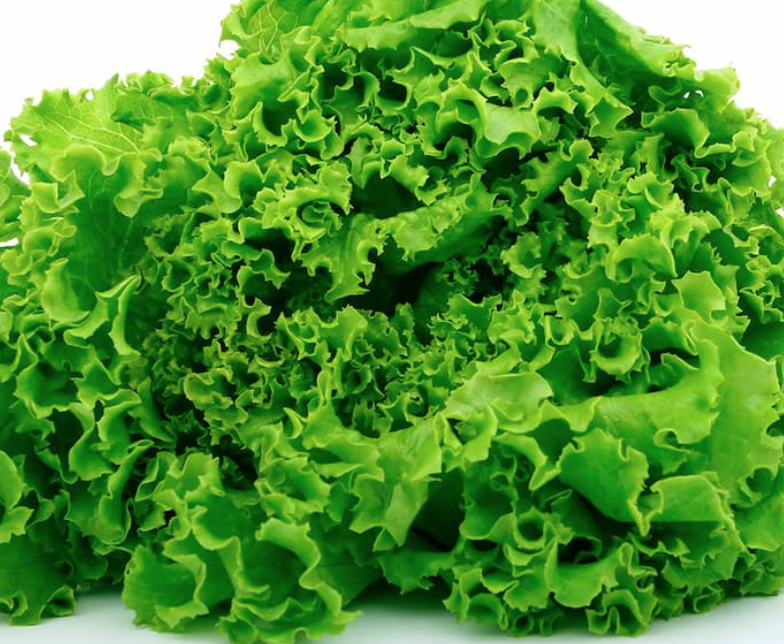 Taco bell lettuce