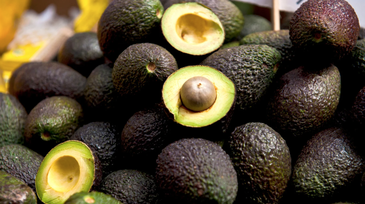 Mexican avocado