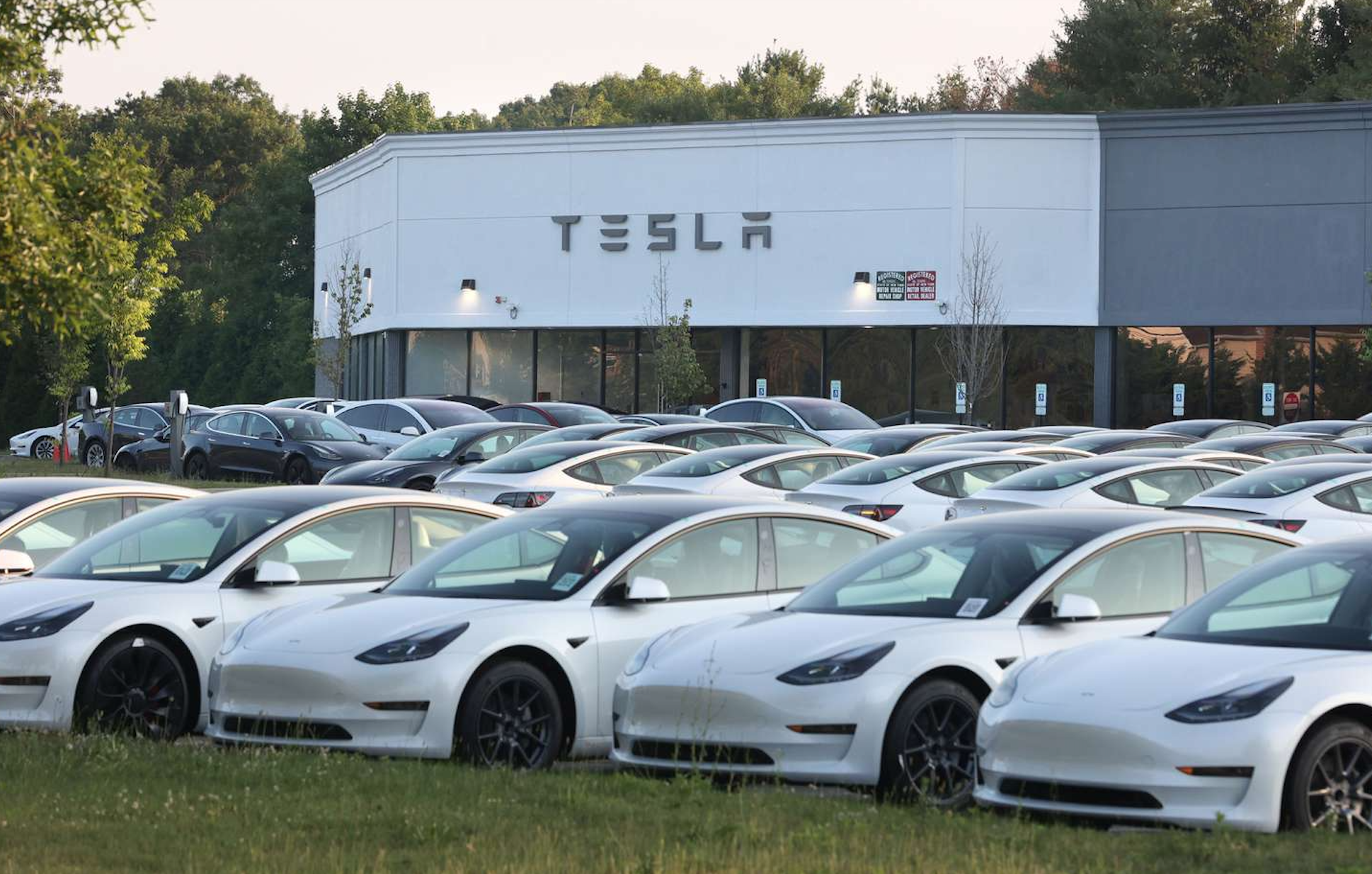 Tesla delivery